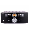 PIER AUDIO MS-1000 SE